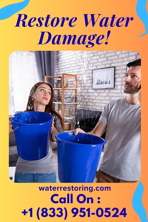 water restoration Horizon Restoration Solutions Force Saint Catharine