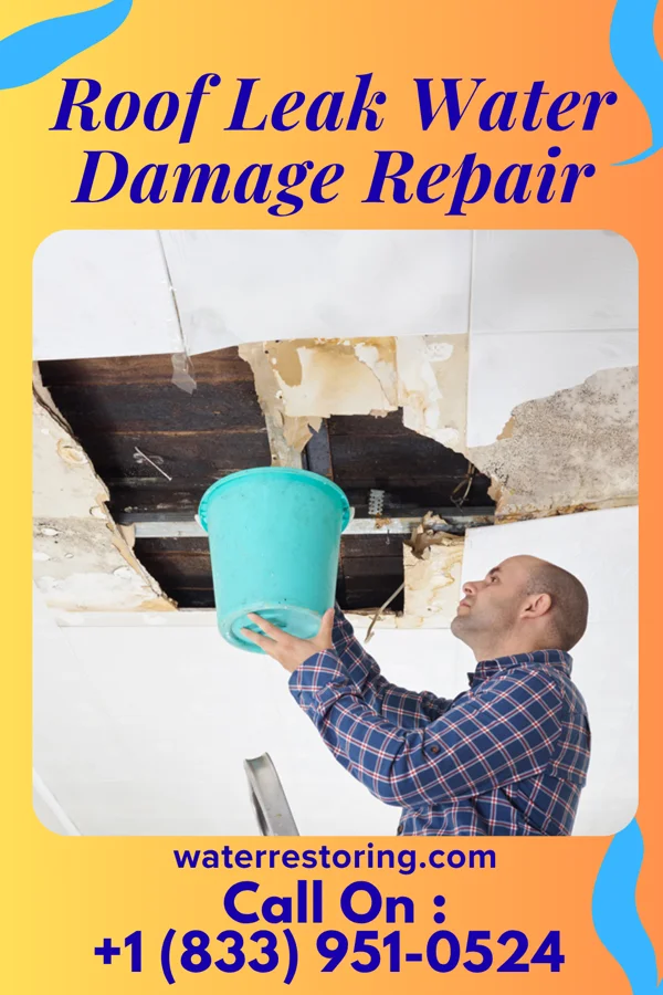 Roof Leak Water Damage Repair in Saint Catharine, MO