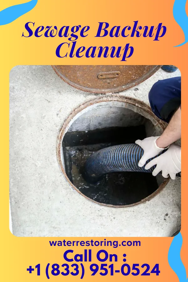 Sewage Backup Cleanup in Saint Catharine, MO